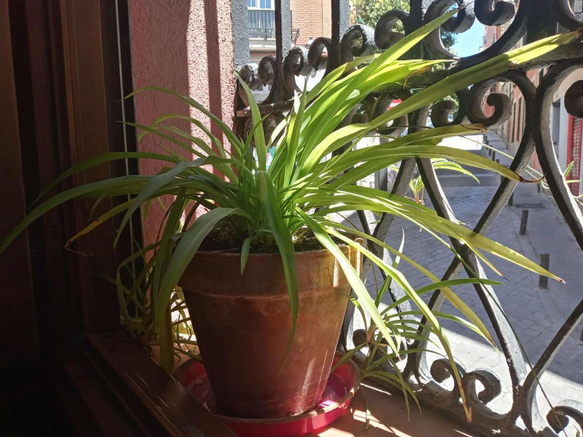 Apartamento Lavapies Al Lado Del Rastro Madrid Bagian luar foto